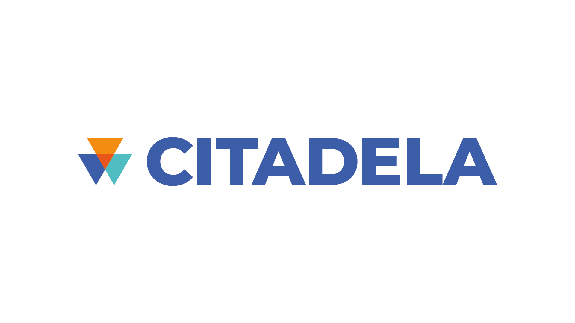 Citadela Litvnov