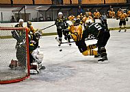 Vrána fauluje Majdana... Vrána fauluje Majdana...